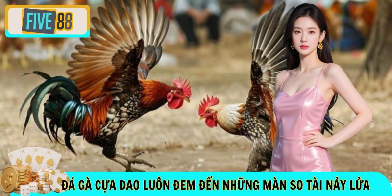 Đá gà cựa dao luôn đem đến những màn so tài nảy lửa