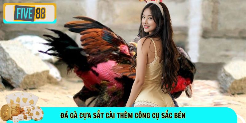 Đá gà cựa sắt cài thêm công cụ sắc bén
