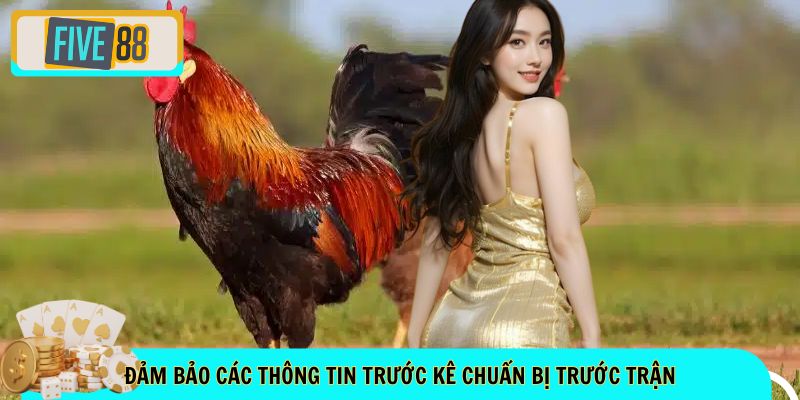Đảm bảo các thông tin trước kê chuẩn bị trước trận