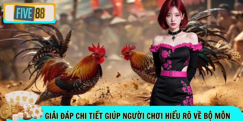 Giải đáp chi tiết giúp người chơi hiểu rõ về bộ môn