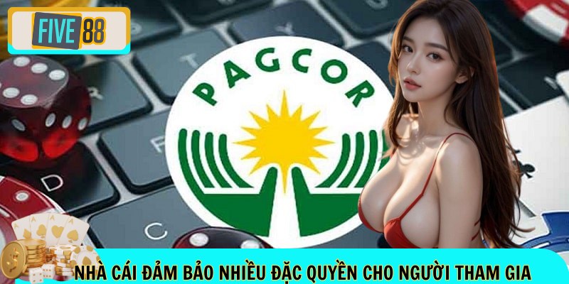 Nhà cái đảm bảo nhiều đặc quyền cho người tham gia