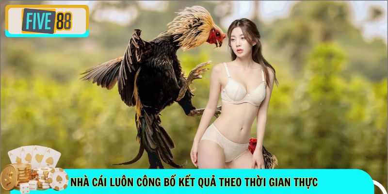 Nhà cái luôn công bố kết quả theo thời gian thực